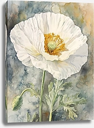 Постер White fairytale of the meadow