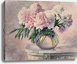 Постер Лакорт Мадлен Pivoines