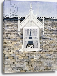Постер Дитц (совр) St.Helier Dormer Cat