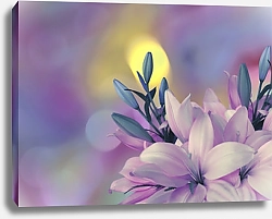 Постер Розово-голубые лилии на фиолетовом размытом фоне