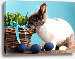 Постер Кролик с синими яйцами и корзинкой травы