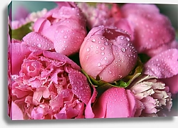 Постер Свежий букет из розовых пионов