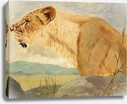 Постер Кухнерт Уильям Head of a Lioness