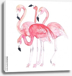 Постер Четыре розовых фламинго