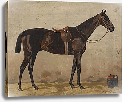 Постер Волкерс Эмиль Коричневый в конюшне