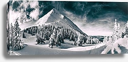 Постер Красивый зимний пейзаж Карпатских гор. Пик Петрос покрыт снегом