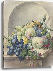 Постер Брассел Паулюс Кусочки фруктов в нише на мраморном столе, сливы, персики, виноград и ежевика