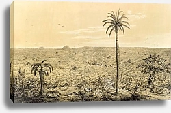 Постер Природа Южной Америки 41