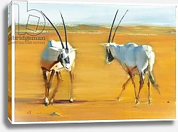 Постер Адлингтон Марк (совр) Circling Arabian Oryx, 2010