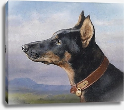 Постер Райхерт Карл Портрет добермана