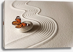 Постер Бабочка монарх на камне на белом песке