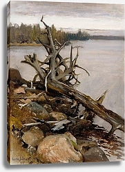 Постер Ярнефельт Ээро Мертвая сосна в воде