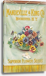 Постер Mandeville  King Co., superior flower seeds [bowl of pansies]