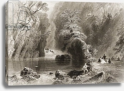 Постер Бартлет Уильям (последователи, грав) The Dargle River, County Wicklow, from 'Scenery and Antiquities of Ireland' by George Virtue, 1860s