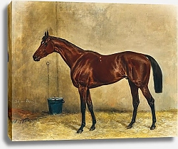 Постер Блаас Юлиус Токио