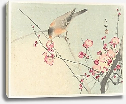 Постер Косон Охара Songbird on blossom branch
