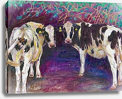 Постер Уайт Хелен Sheltering cows, 2011,