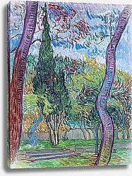 Постер Ван Гог Винсент (Vincent Van Gogh) Сад больницы в Сен-Поле 2