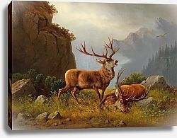 Постер Мюллер Моритц После драки