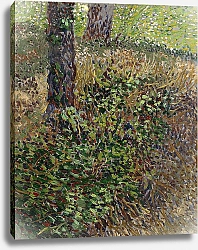 Постер Ван Гог Винсент (Vincent Van Gogh) Подлесок