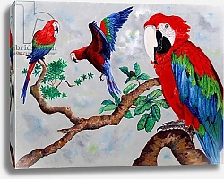 Постер Кристи Майли (совр) Macaws, 2006