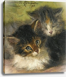 Постер Роннер-Нип Генриетта Two Kittens