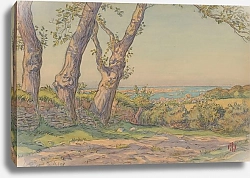 Постер Ривьер Анри Loguivy