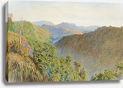 Постер Ричмонд Джеймс Сцена в кустах