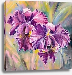 Постер Цветы орхидеи. Акварель