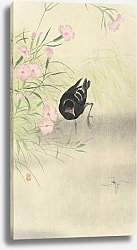Постер Косон Охара Moorhen at flowering plant