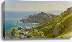 Постер Ричардс Уильям Coastline With Grassy Slope
