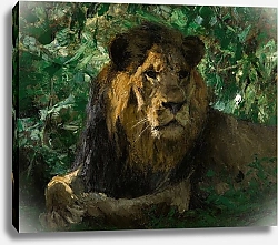 Постер Кухнерт Уильям Resting Lion