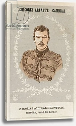 Постер Школа: Французская 19в. Nicolas Alexandrovitch, tsarevitch, grand-duc heritier