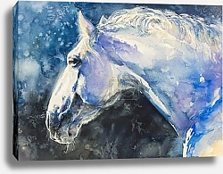 Постер Портрет белой лошади