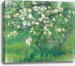 Постер Скотт уильям из Олдхэма Apple Tree In Blossom