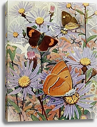 Постер Робер Поль-Андре Березовая текла