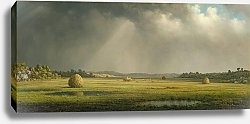 Постер Хид Мартин Джонсон Ньюберипортские луга