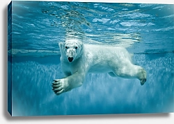 Постер Белый медведь под водой