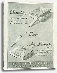 Постер The Vittoria Egyptian Cigarette Company