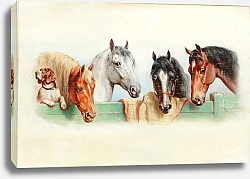 Постер Райхерт Карл Собака и четыре лошади