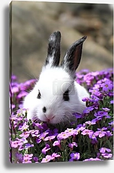 Постер зайчонок в цветах