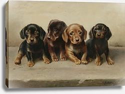 Постер Райхерт Карл Четыре щенка таксы