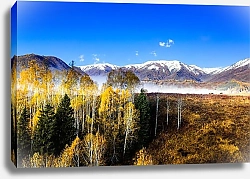 Постер Опушка осеннего леса на фоне снежных гор
