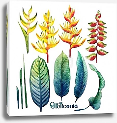 Постер Акварельная коллекция хеликонии