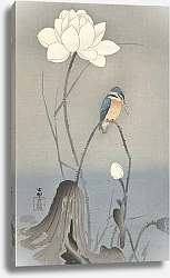 Постер Косон Охара Kingfisher with Lotus Flower