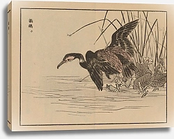 Постер Байрей Коно Байрей гафу, пл. 33