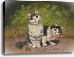 Постер Сперлих Софи Два котенка