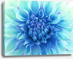 Постер Бирюзовый цветок георгина крупным планом