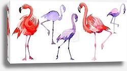 Постер Два акварельных фламинго