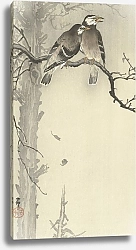 Постер Косон Охара Two gray starlings